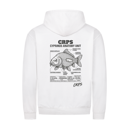 Image for color: arctic white
