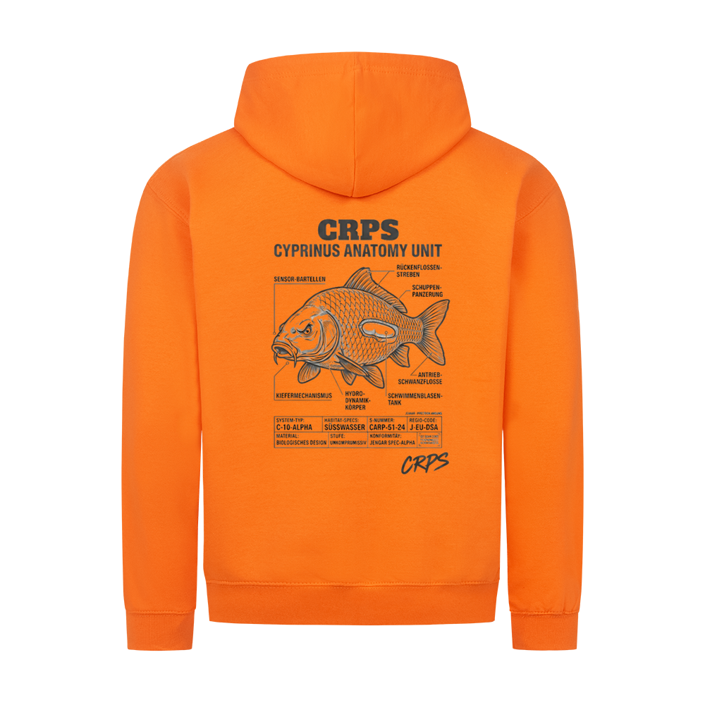 Image for color: orange crush