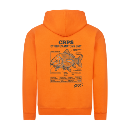 Image for color: orange crush