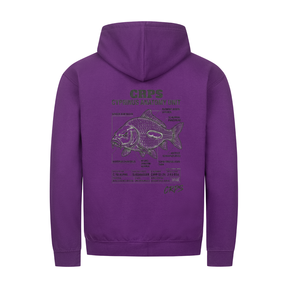 Image for color: purple